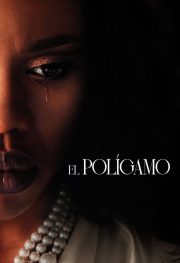 Poligam 1.Sezon Full Hd izle – 2026